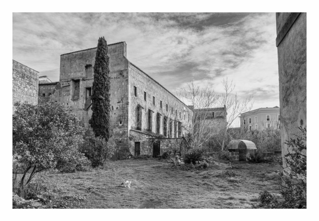 Classical Architecture print, 120 × 80 cm with white border — a ruined stone palazzo with a cypress tree in an overgrown courtyard, Lazio, Italy, black and white architecture photography by Tom Parsons