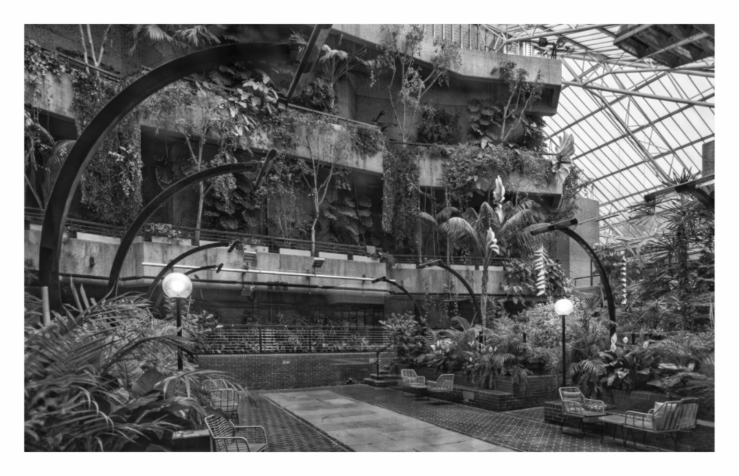 Barbican Conservatory print, 145 × 90 cm with white border — tropical greenery beneath the glasshouse roof, brutalist concrete interior, London, black and white architecture photography by Tom Parsons