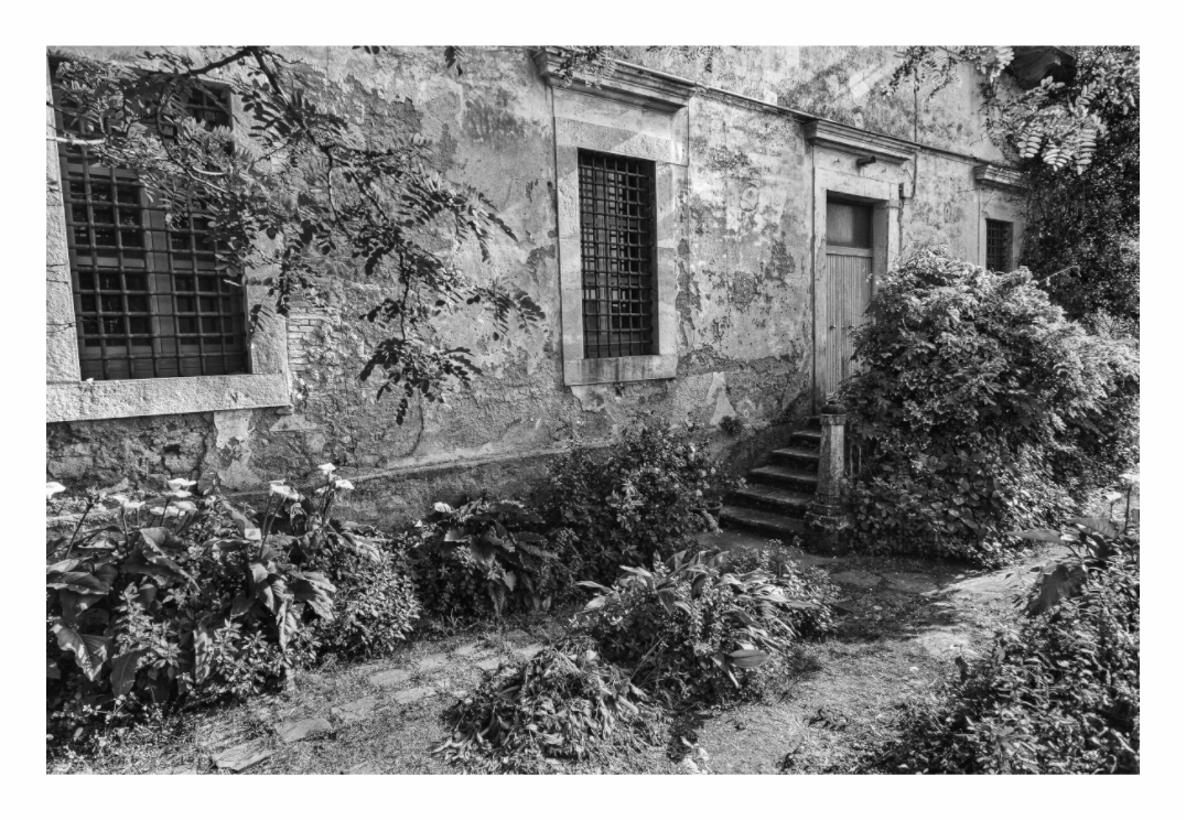 Decay in Tuscania print, 120 × 80 cm with white border — crumbling stone house engulfed in overgrown vegetation, Tuscania, Italy, black and white architecture photography by Tom Parsons